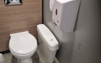 What Are Sanitary Bin Services and Why Are They Important?
